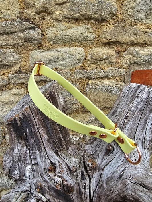 Lemon - Waterproof BioThane© safe-stop Slip Dog Collar