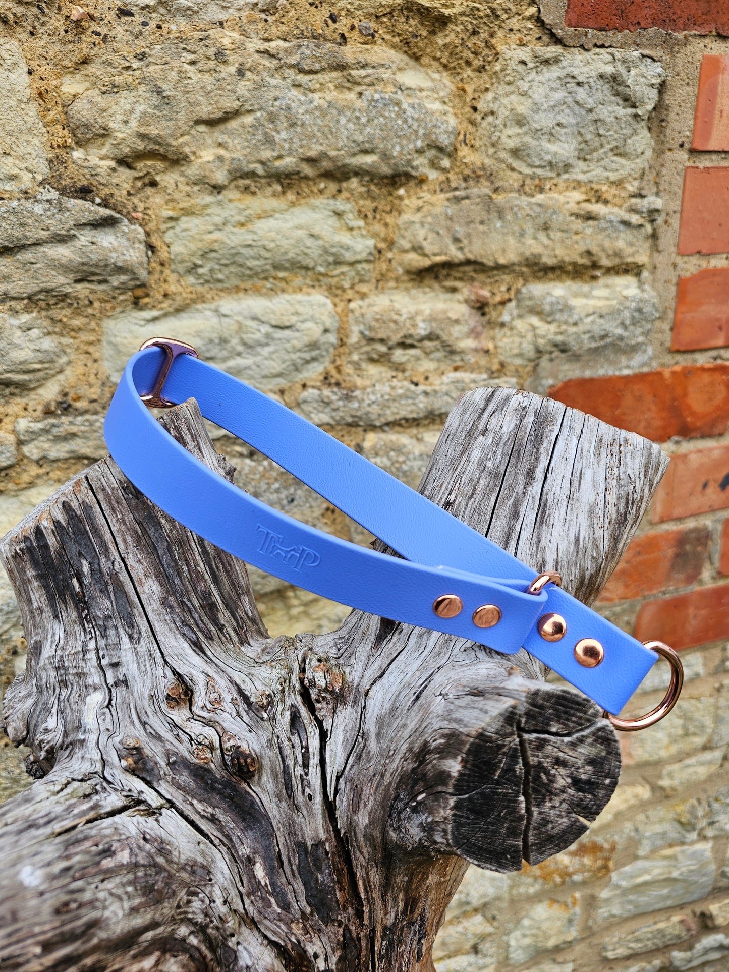 Periwinkle - Waterproof BioThane© safe-stop Slip Dog Collar