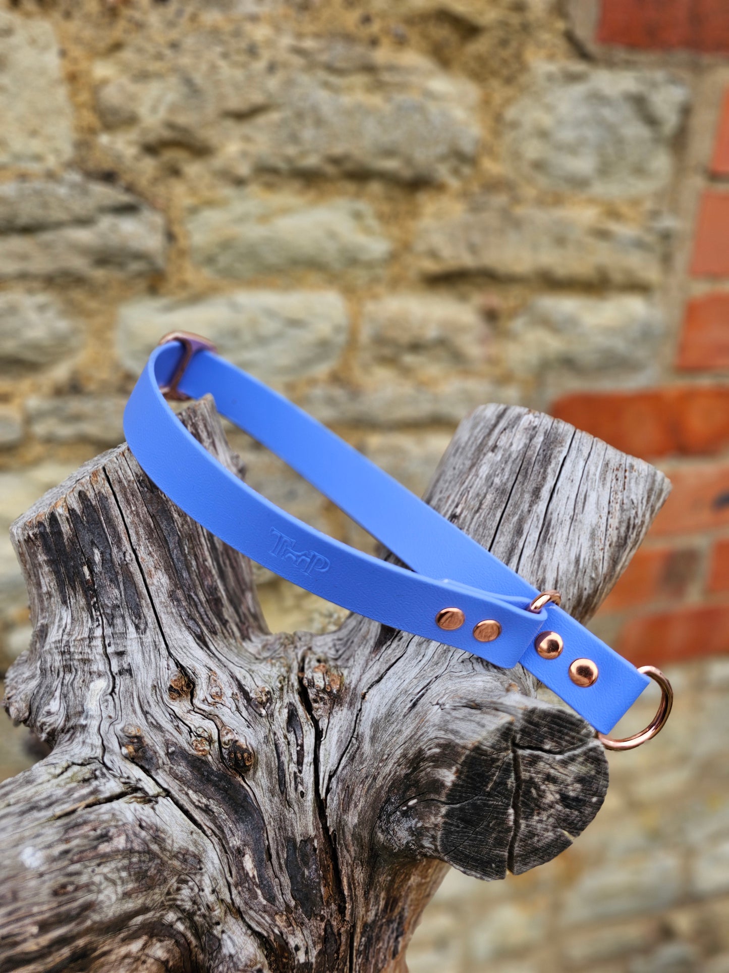 Periwinkle - Waterproof BioThane© safe-stop Slip Dog Collar