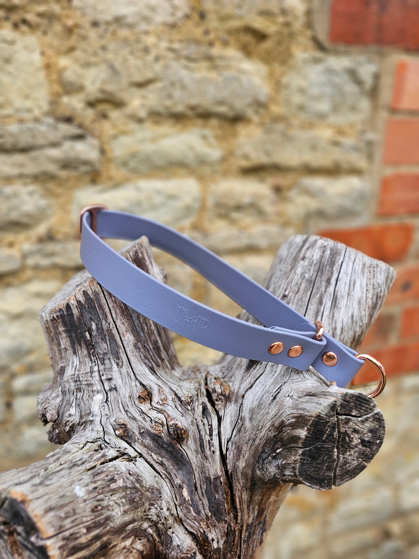 Grey - Waterproof BioThane© safe-stop Slip Dog Collar