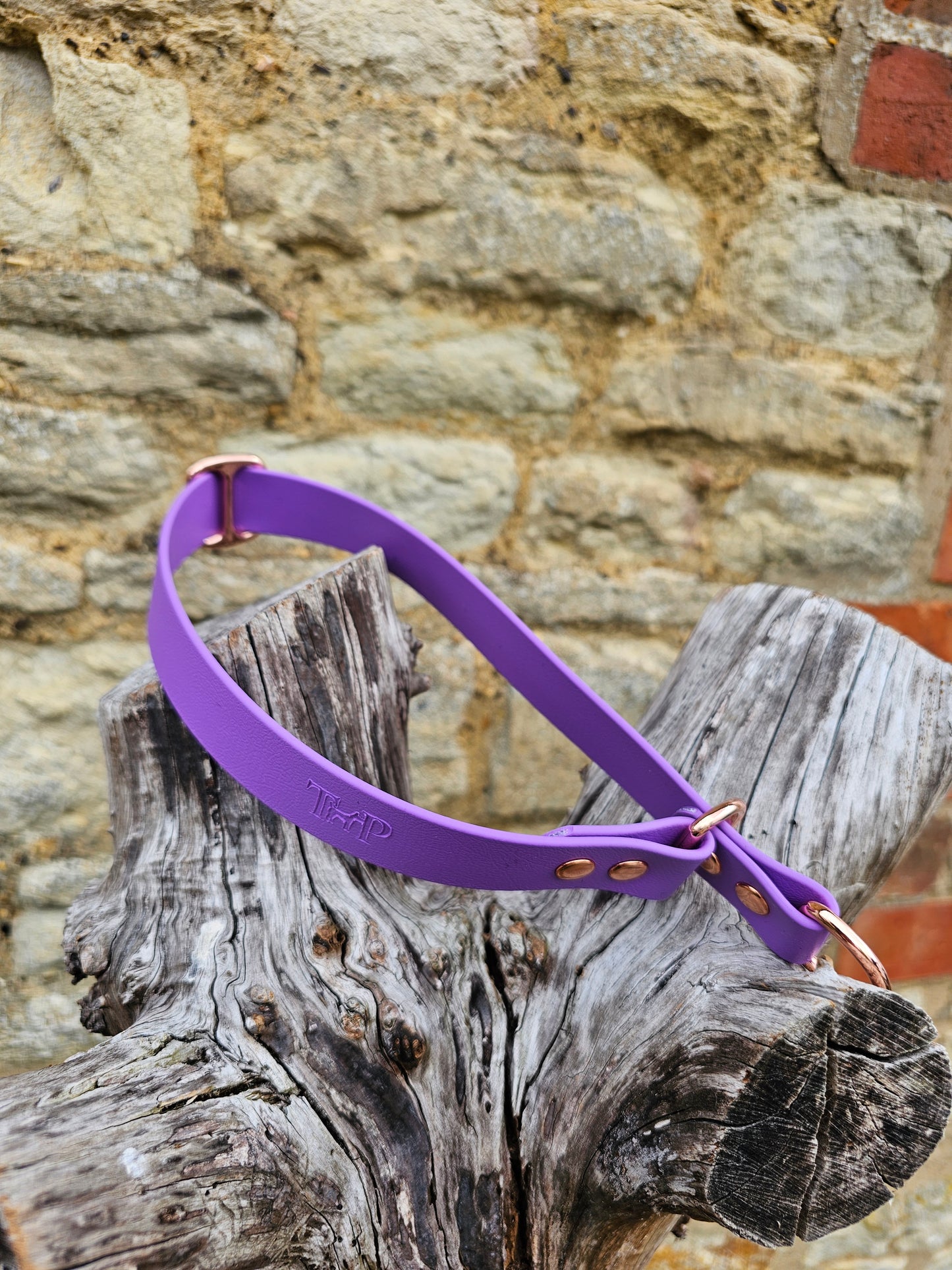 Amethyst - Waterproof BioThane© safe-stop Slip Dog Collar