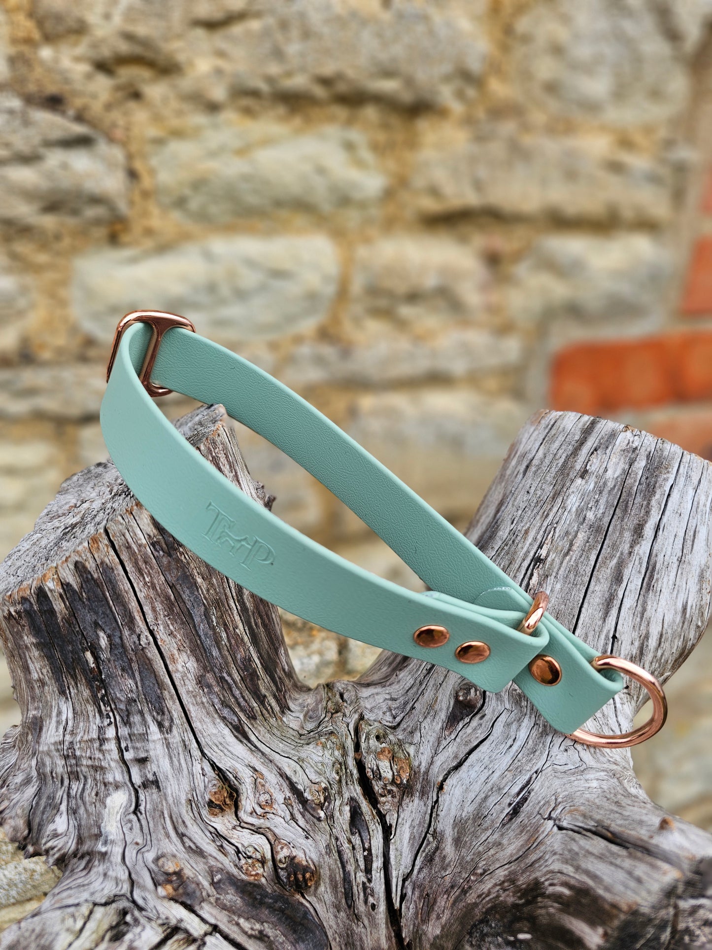 Sage - Waterproof BioThane© safe-stop Slip Dog Collar