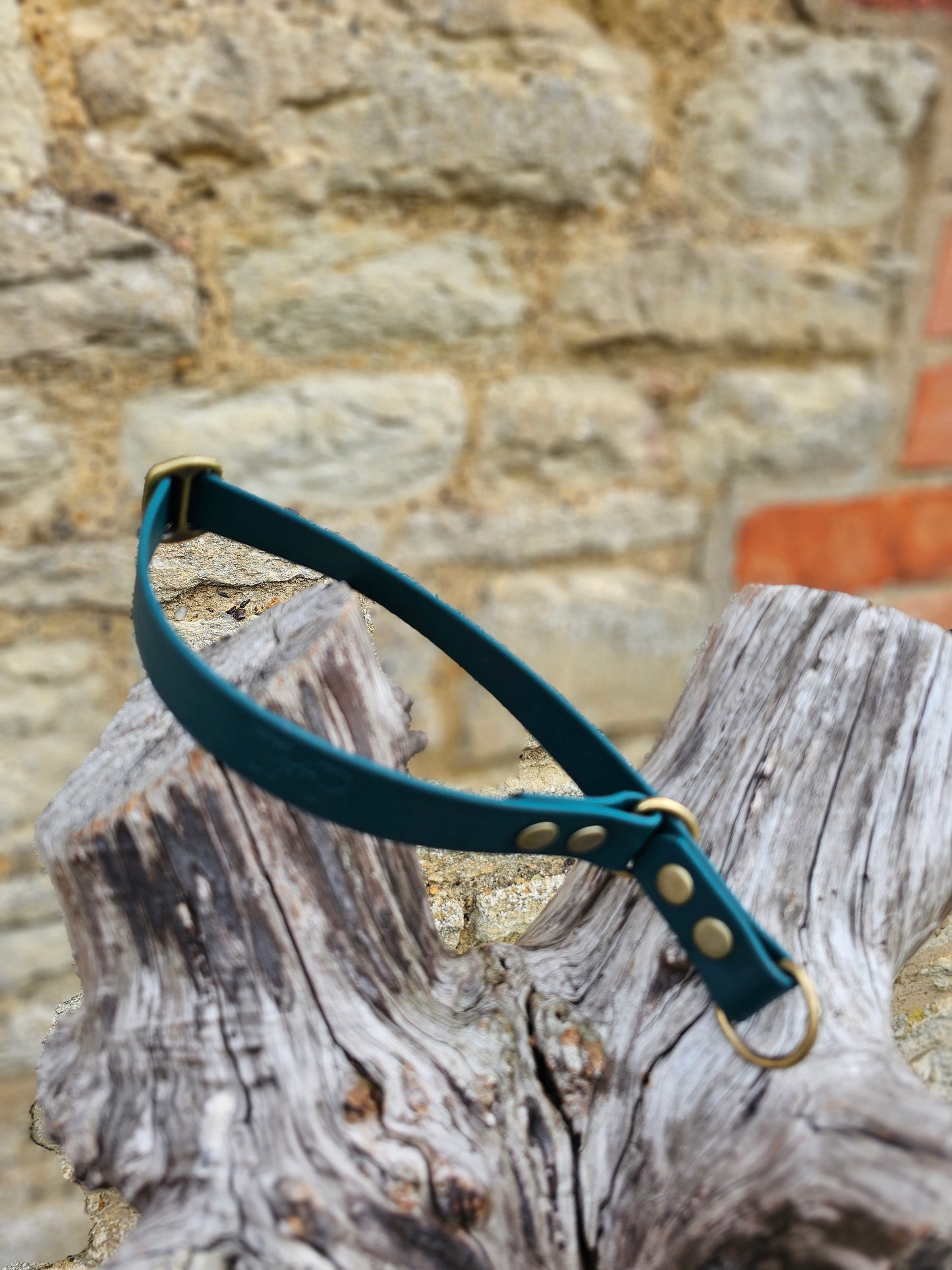 Dark Green - Waterproof BioThane© safe-stop Slip Dog Collar