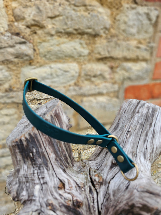 Dark Green - Waterproof BioThane© safe-stop Slip Dog Collar