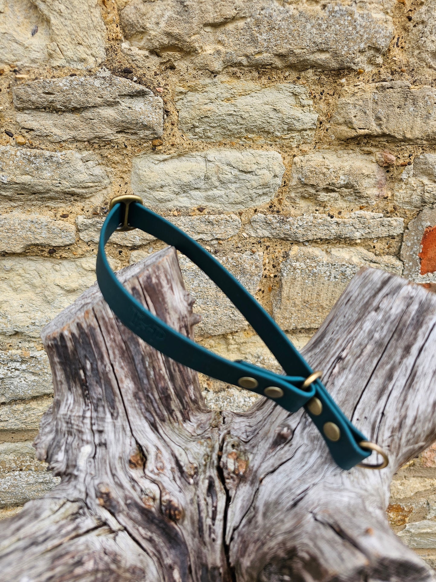 Dark Green - Waterproof BioThane© safe-stop Slip Dog Collar