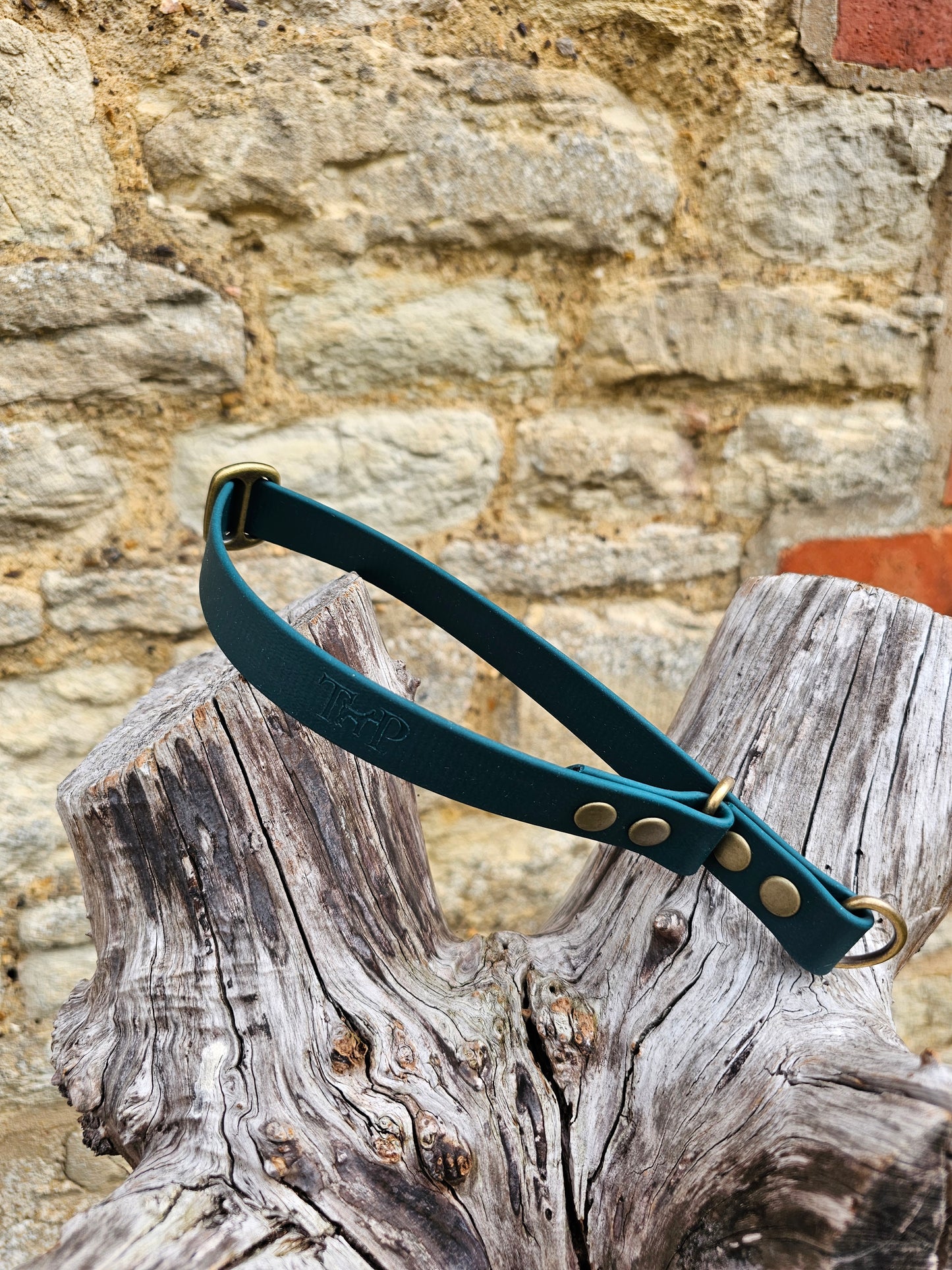 Dark Green - Waterproof BioThane© safe-stop Slip Dog Collar