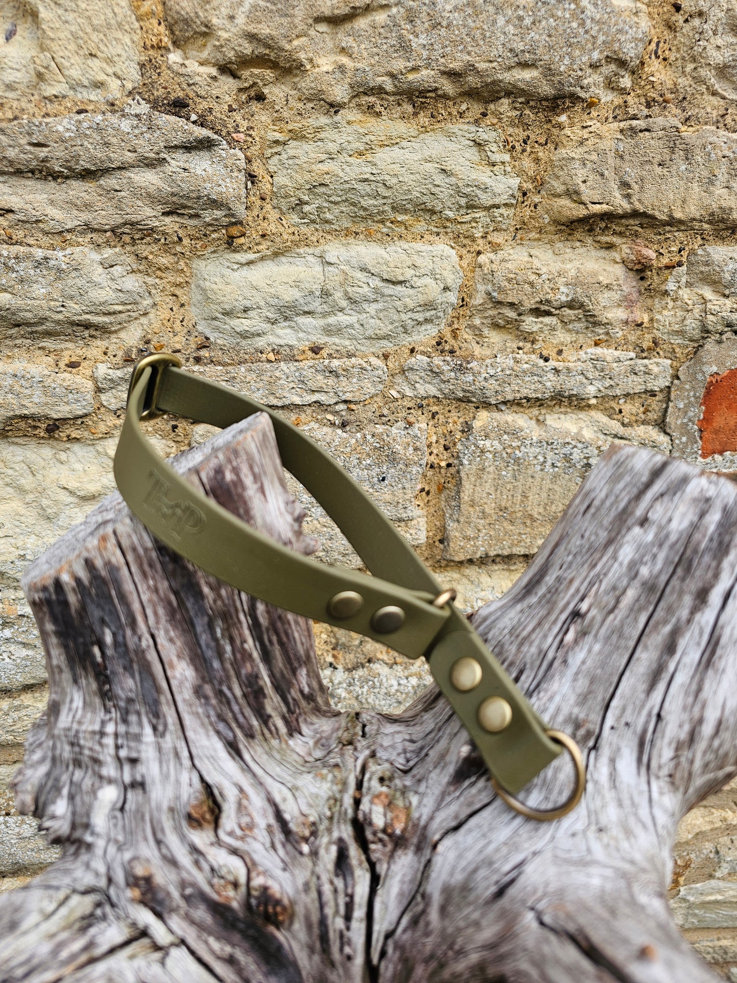 Olive - Waterproof BioThane© safe-stop Slip Dog Collar