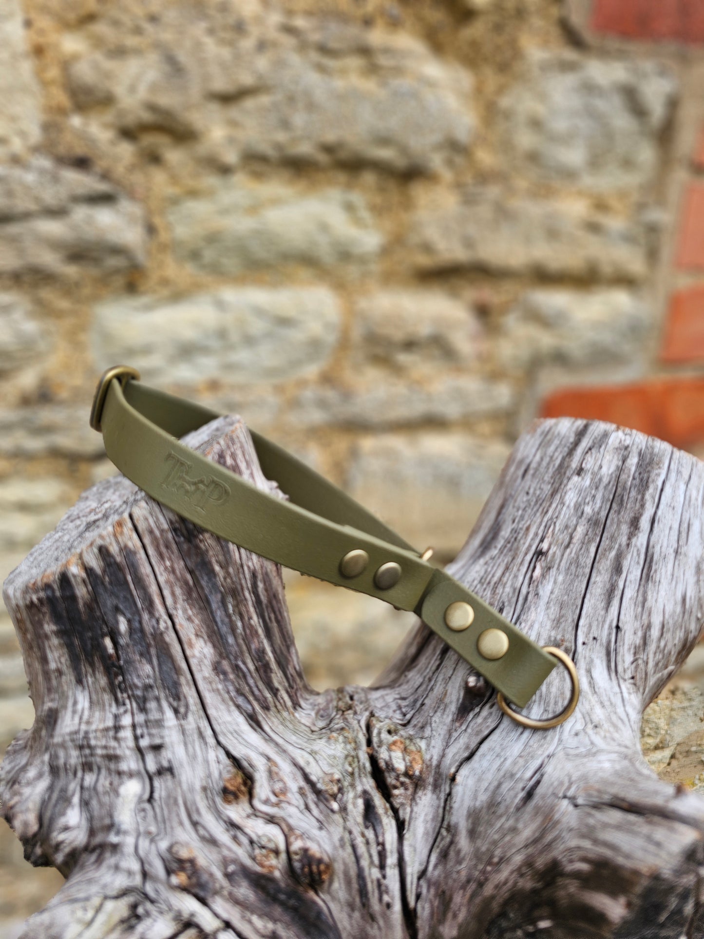 Olive - Waterproof BioThane© safe-stop Slip Dog Collar