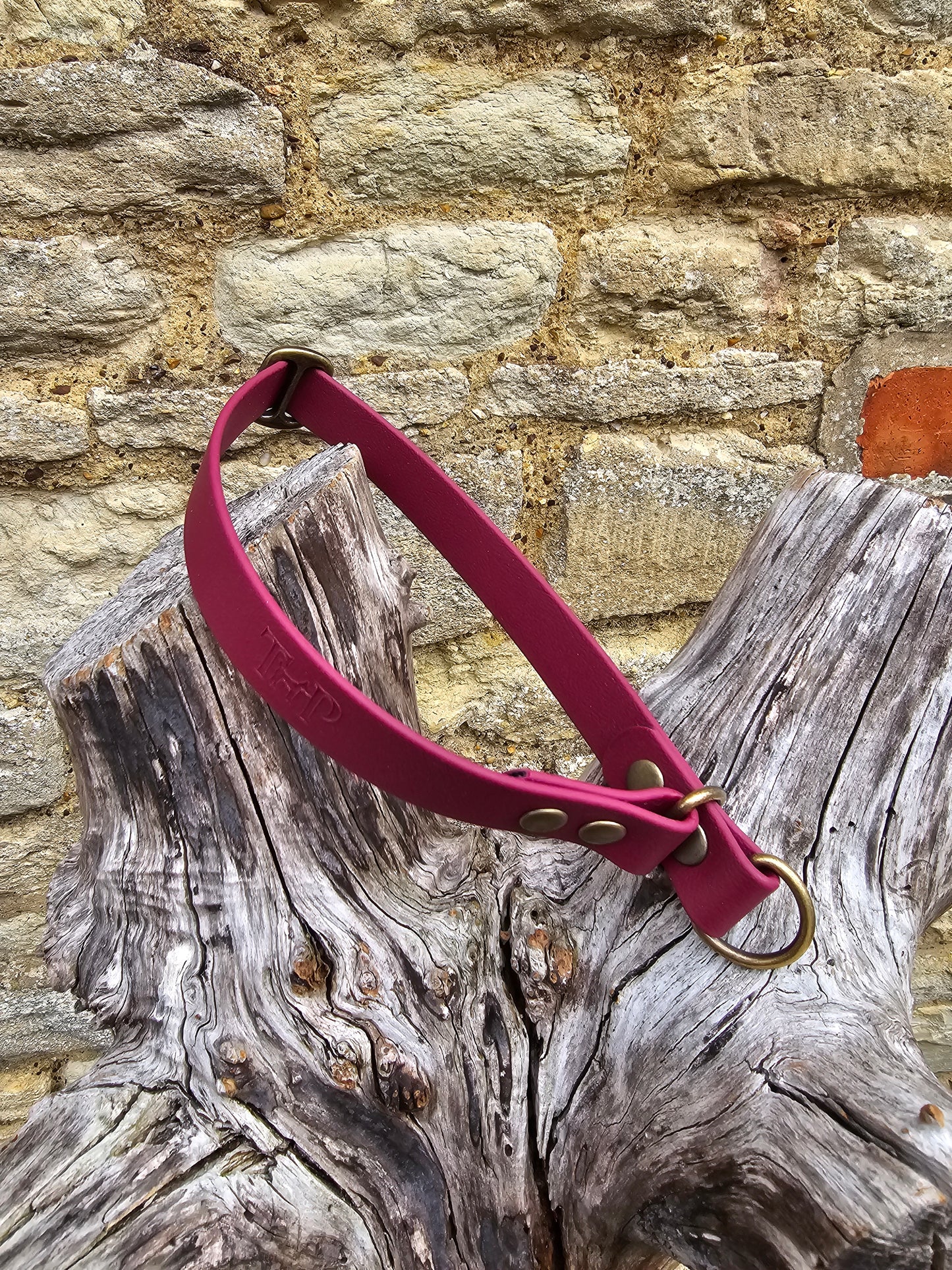 Burgundy - Waterproof BioThane© safe-stop Slip Dog Collar