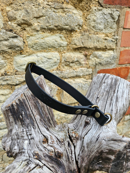 Black - Waterproof BioThane© safe-stop Slip Dog Collar