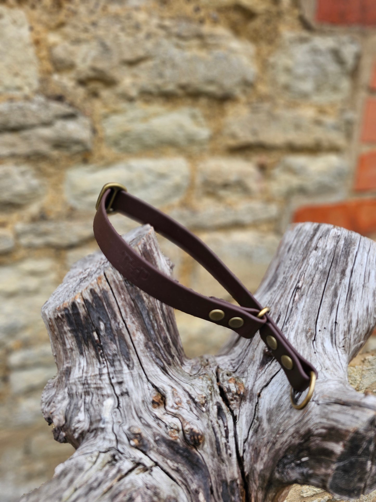 Dark Brown - Waterproof BioThane© safe-stop Slip Dog Collar