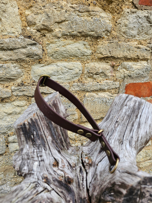 Dark Brown - Waterproof BioThane© safe-stop Slip Dog Collar