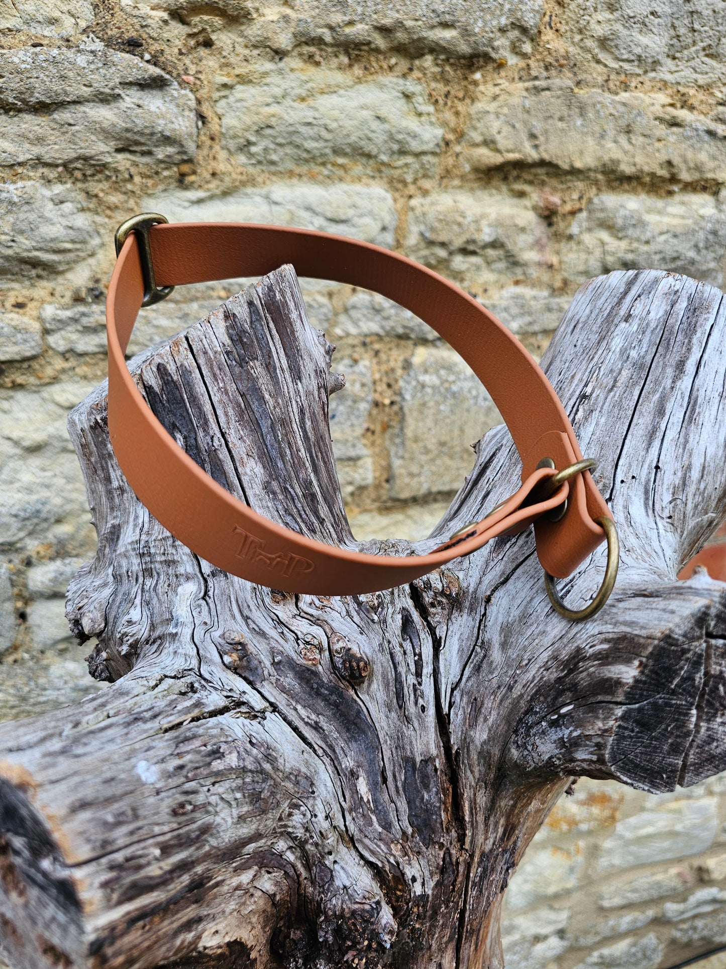 Tan - Waterproof BioThane© safe-stop Slip Dog Collar