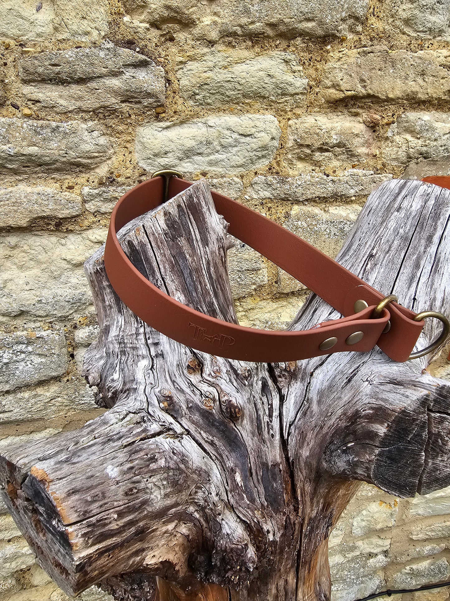 Tan - Waterproof BioThane© safe-stop Slip Dog Collar
