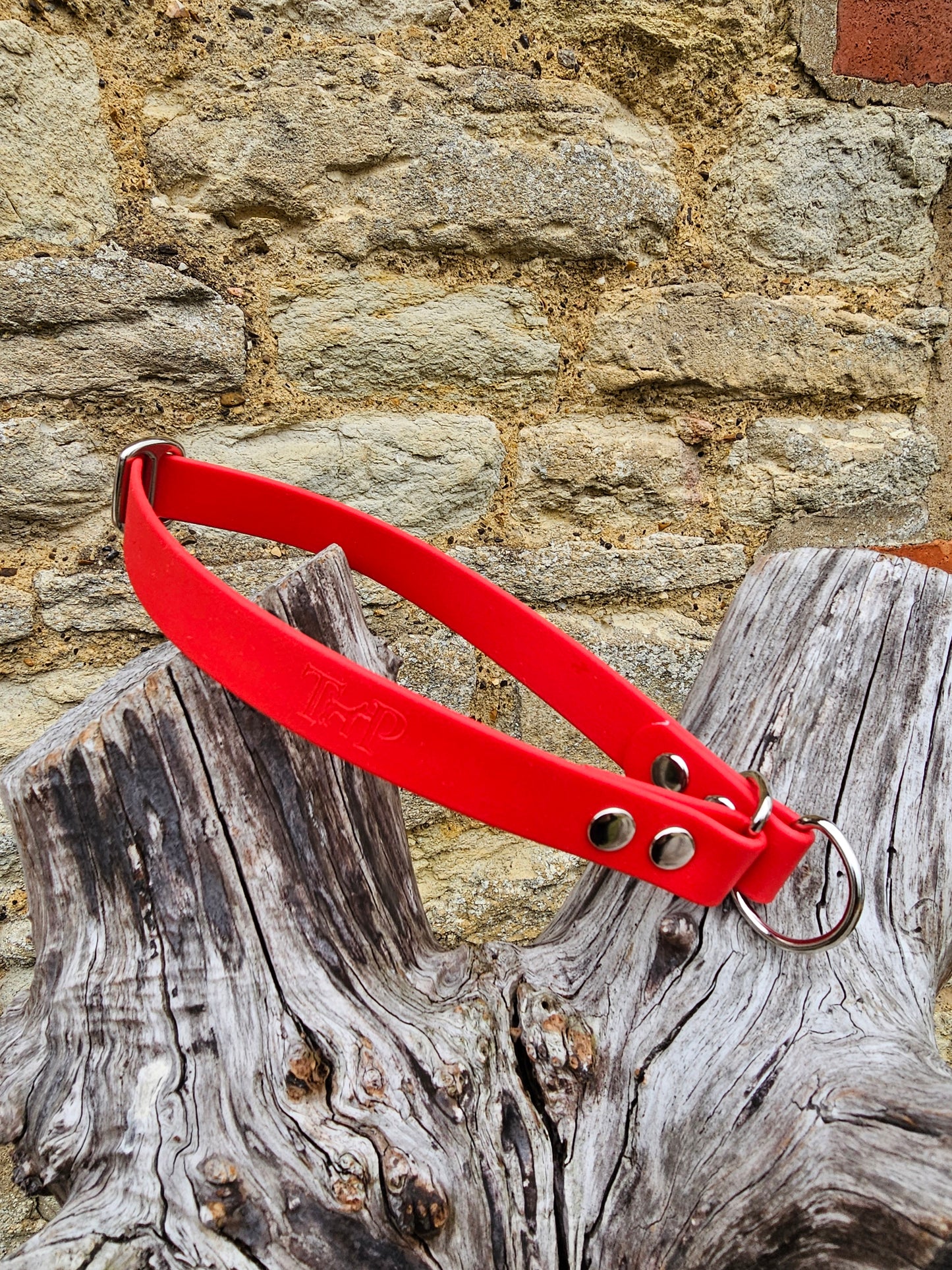 Red - Waterproof BioThane© safe-stop Slip Dog Collar