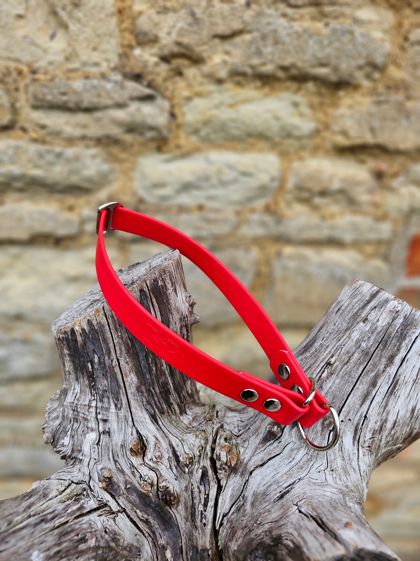 Red - Waterproof BioThane© safe-stop Slip Dog Collar
