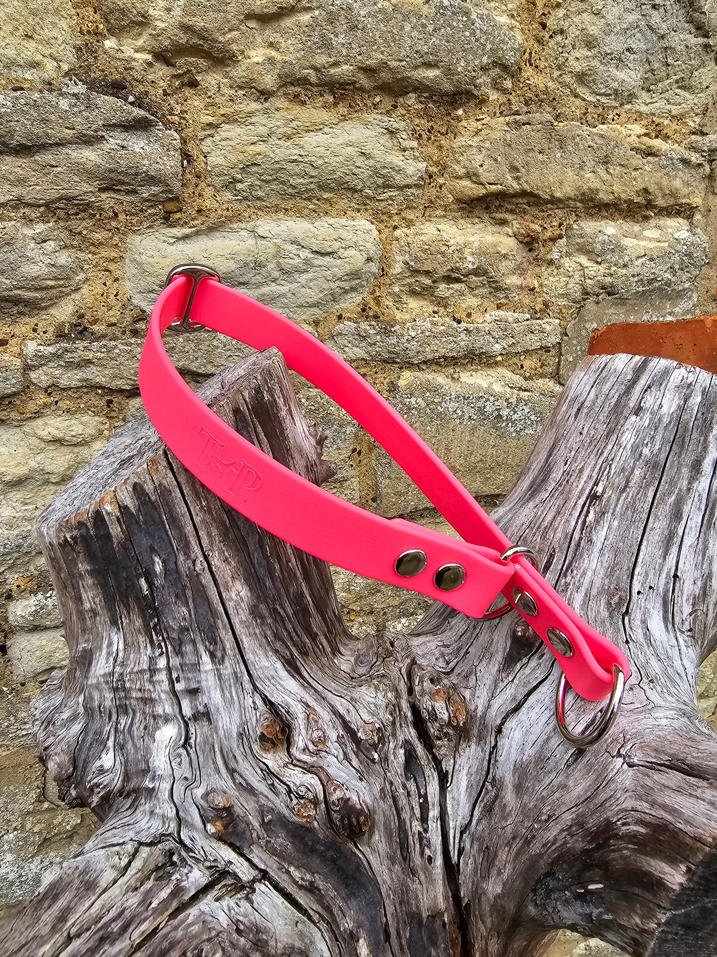 Neon Pink - Waterproof BioThane© safe-stop Slip Dog Collar