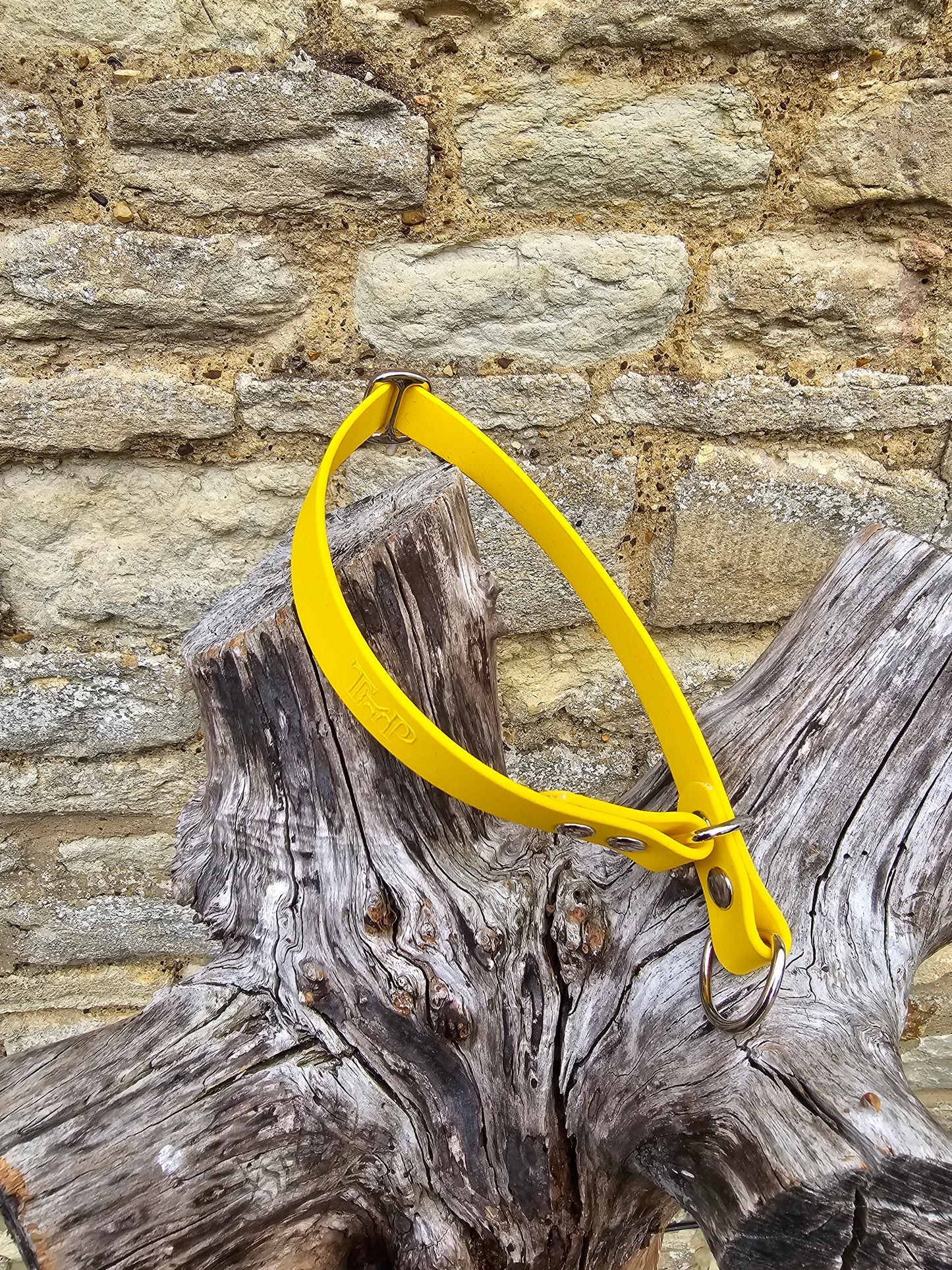 Yellow - Waterproof BioThane© safe-stop Slip Dog Collar