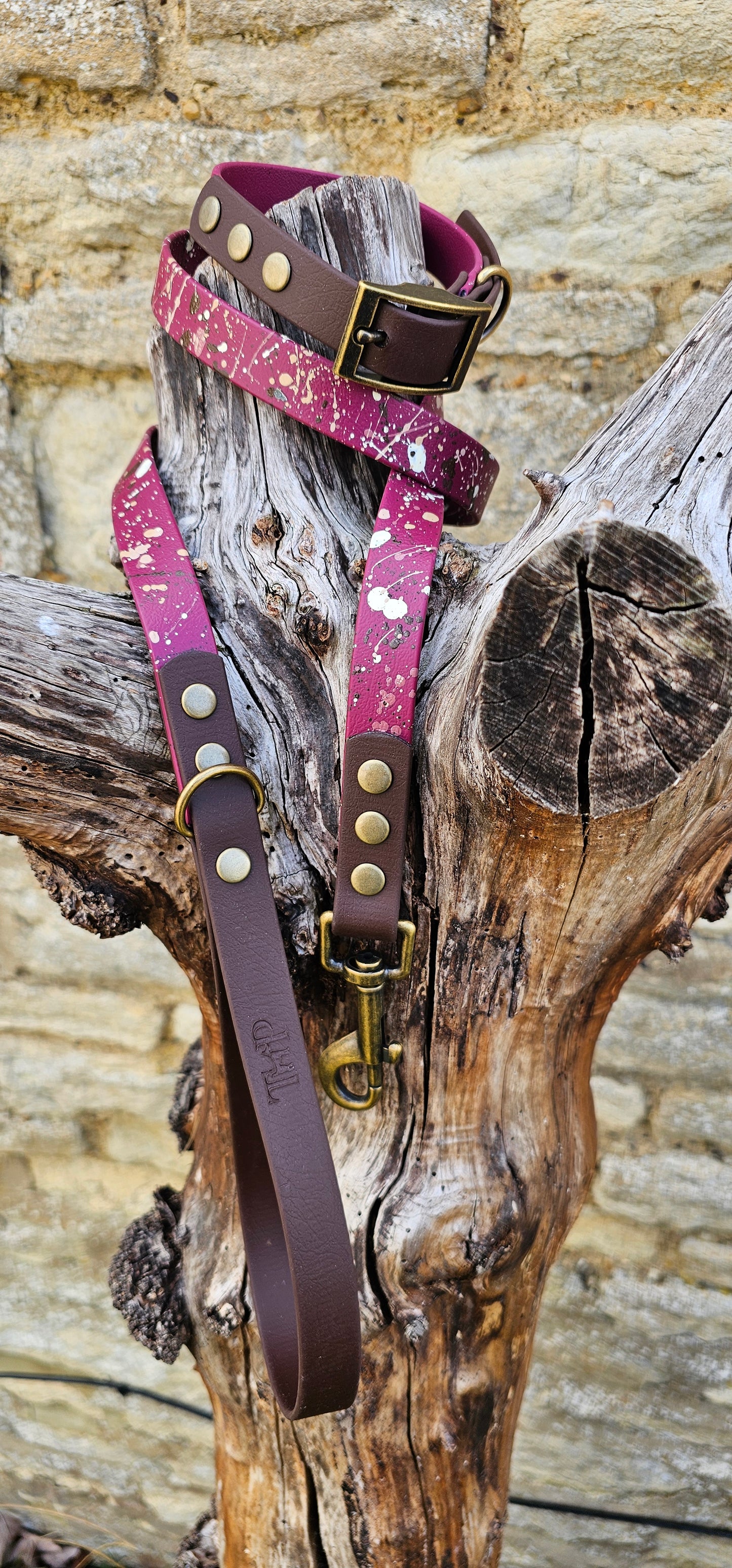 Emberstone - BioThane waterproof Splatter Dog Collar Terra Collection