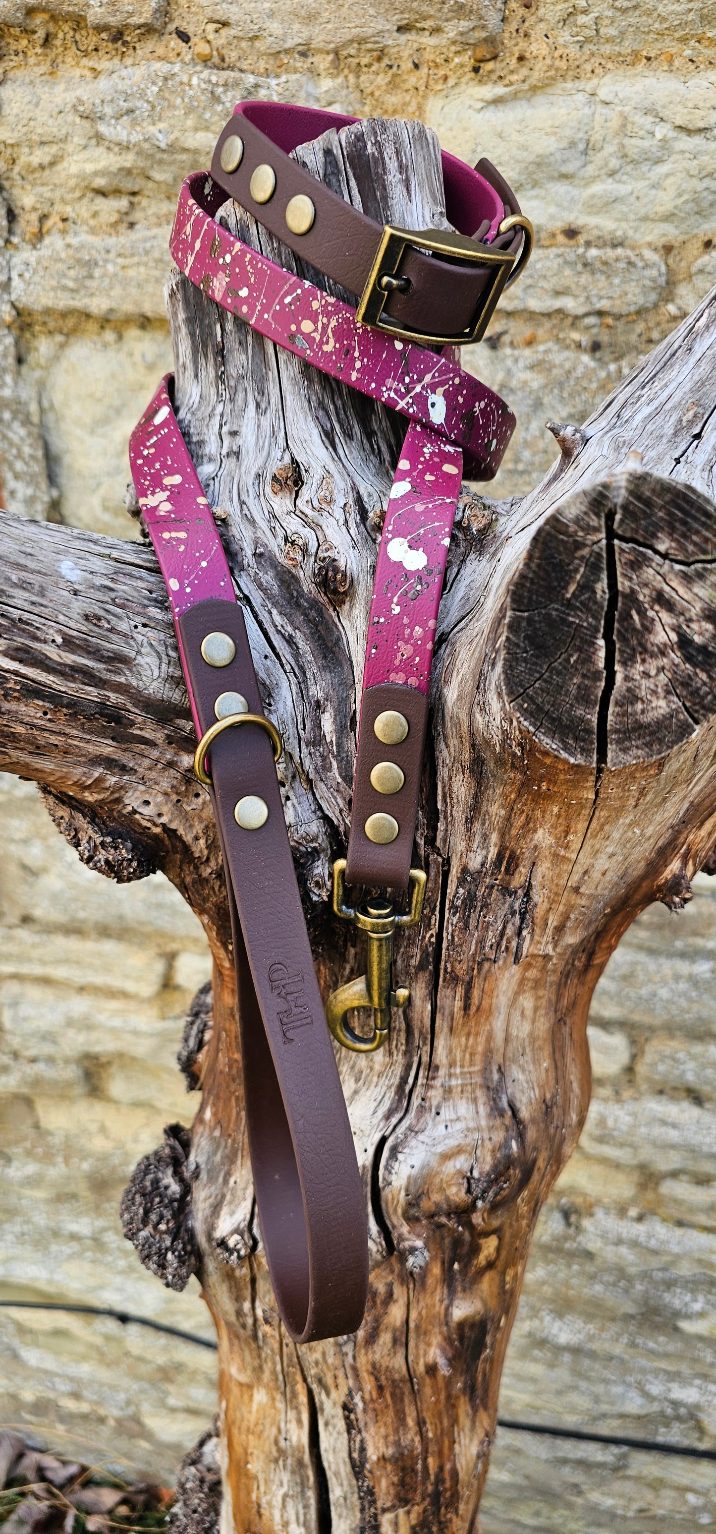 Emberstone - BioThane waterproof Splatter Dog Lead Terra Collection