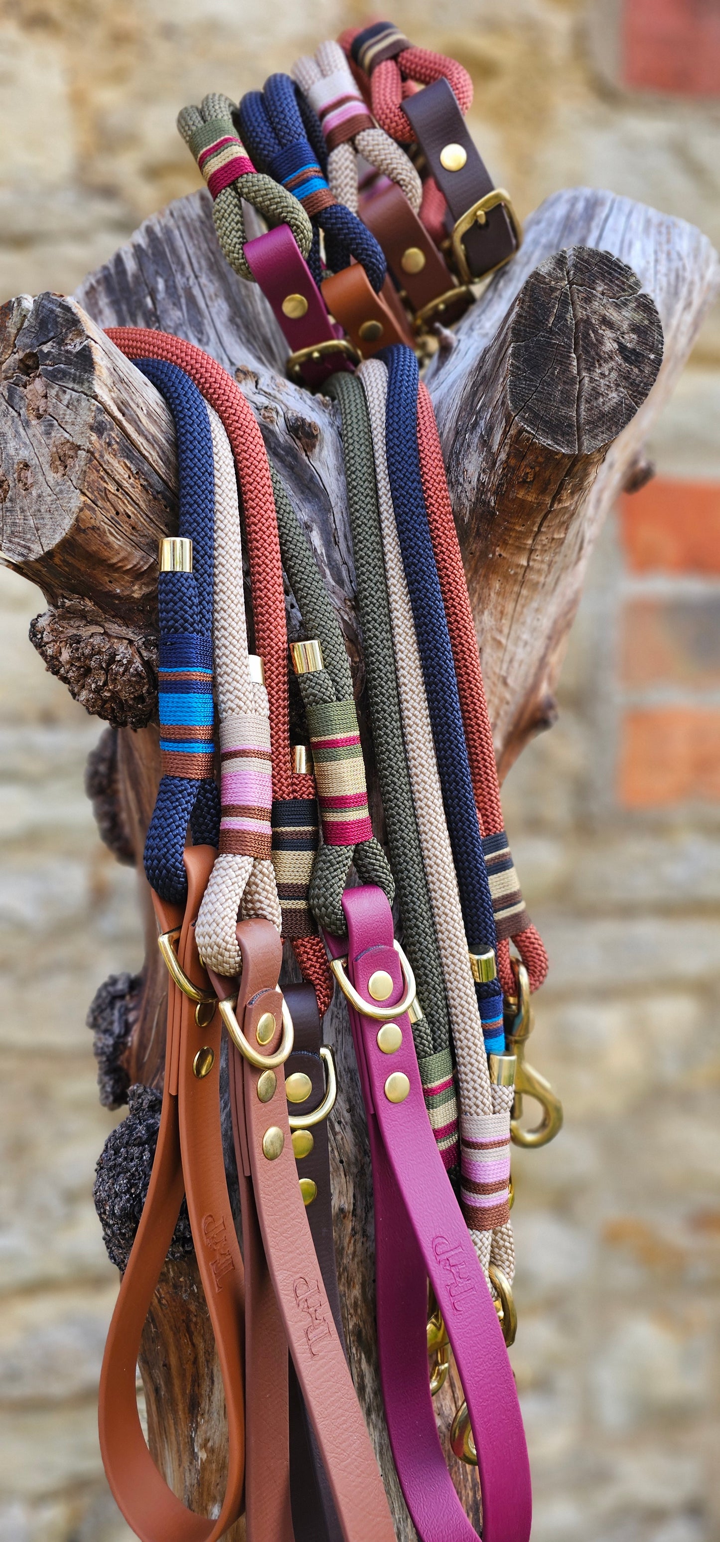 Premium Rope Collar & Lead Bundle
