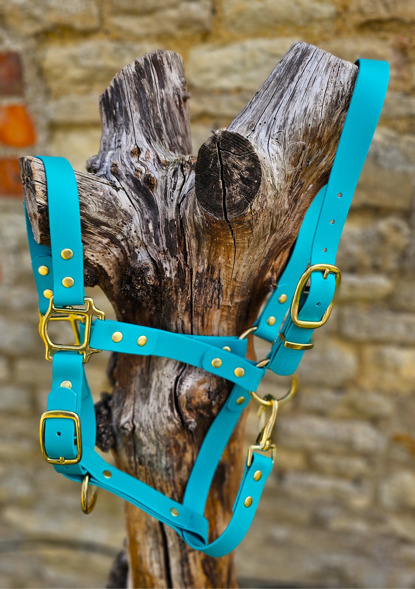 Teal - Waterproof BioThane® Horse Halters / Head Collars