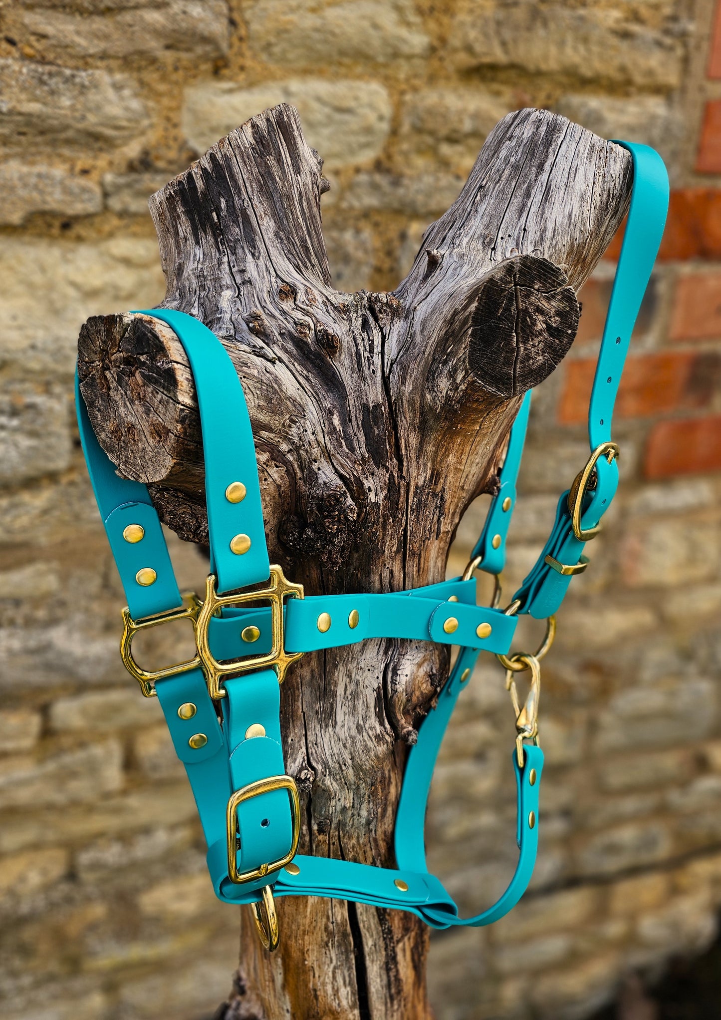 Teal - Waterproof BioThane® Horse Halters / Head Collars