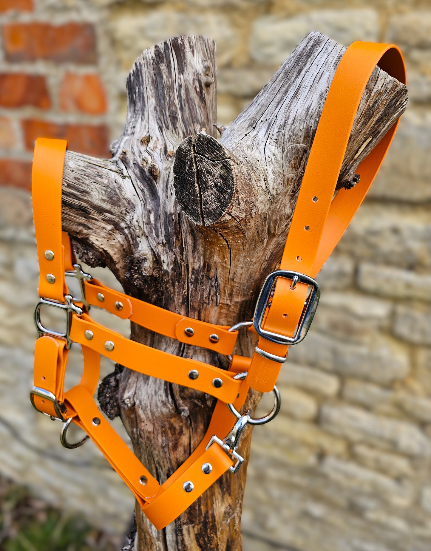 Burnt Orange - Waterproof BioThane® Horse Halters / Head Collars