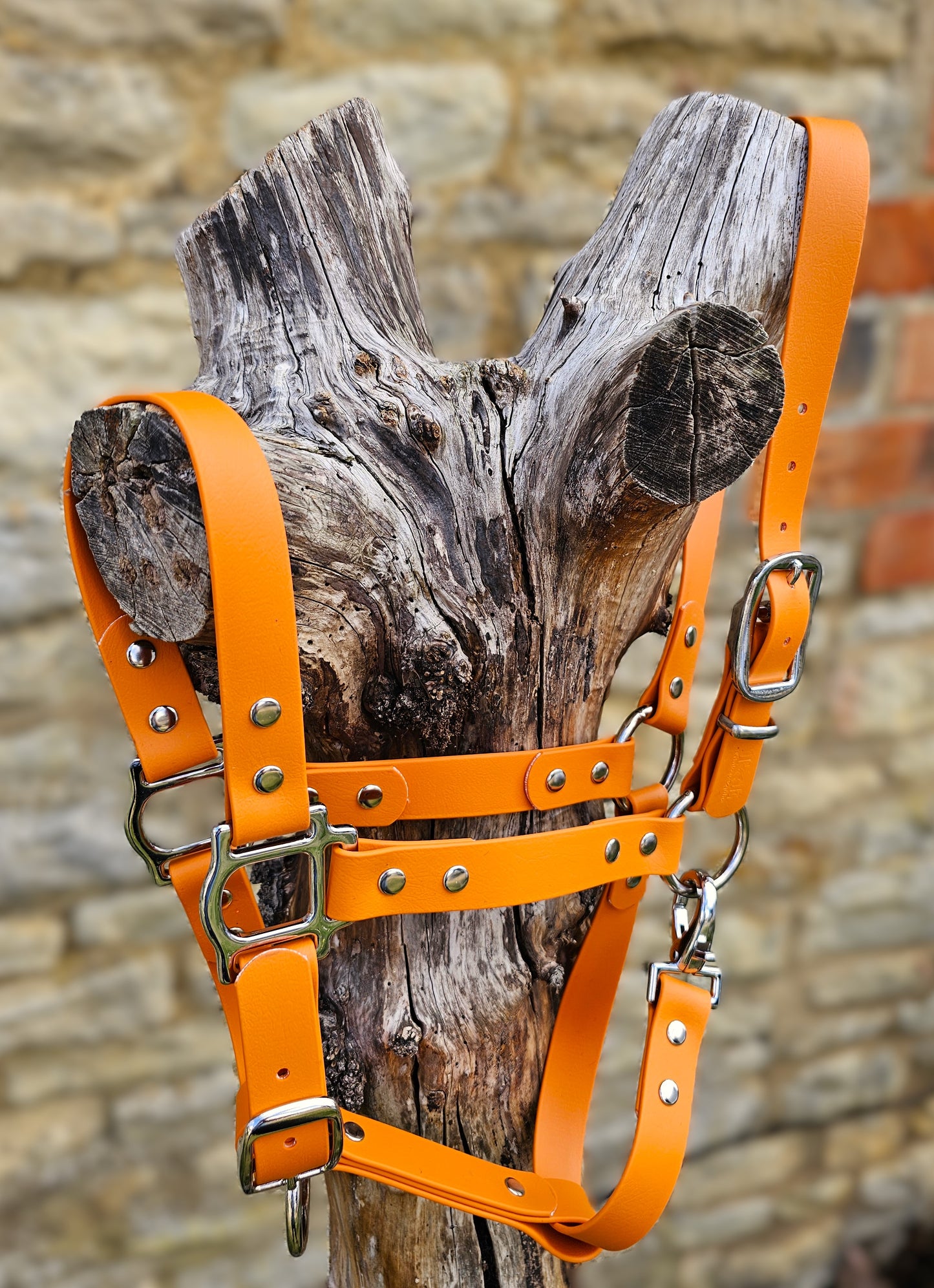 Burnt Orange - Waterproof BioThane® Horse Halters / Head Collars