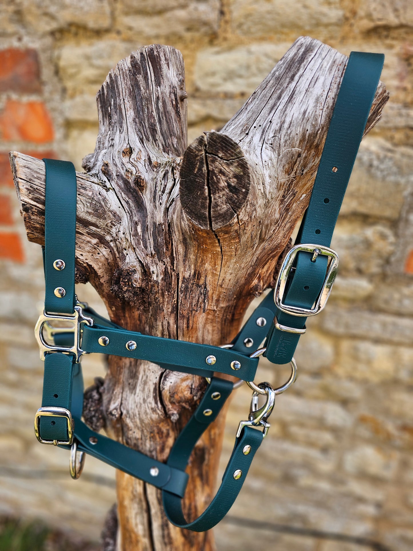 Dark Green - Waterproof BioThane® Horse Halters / Head Collars