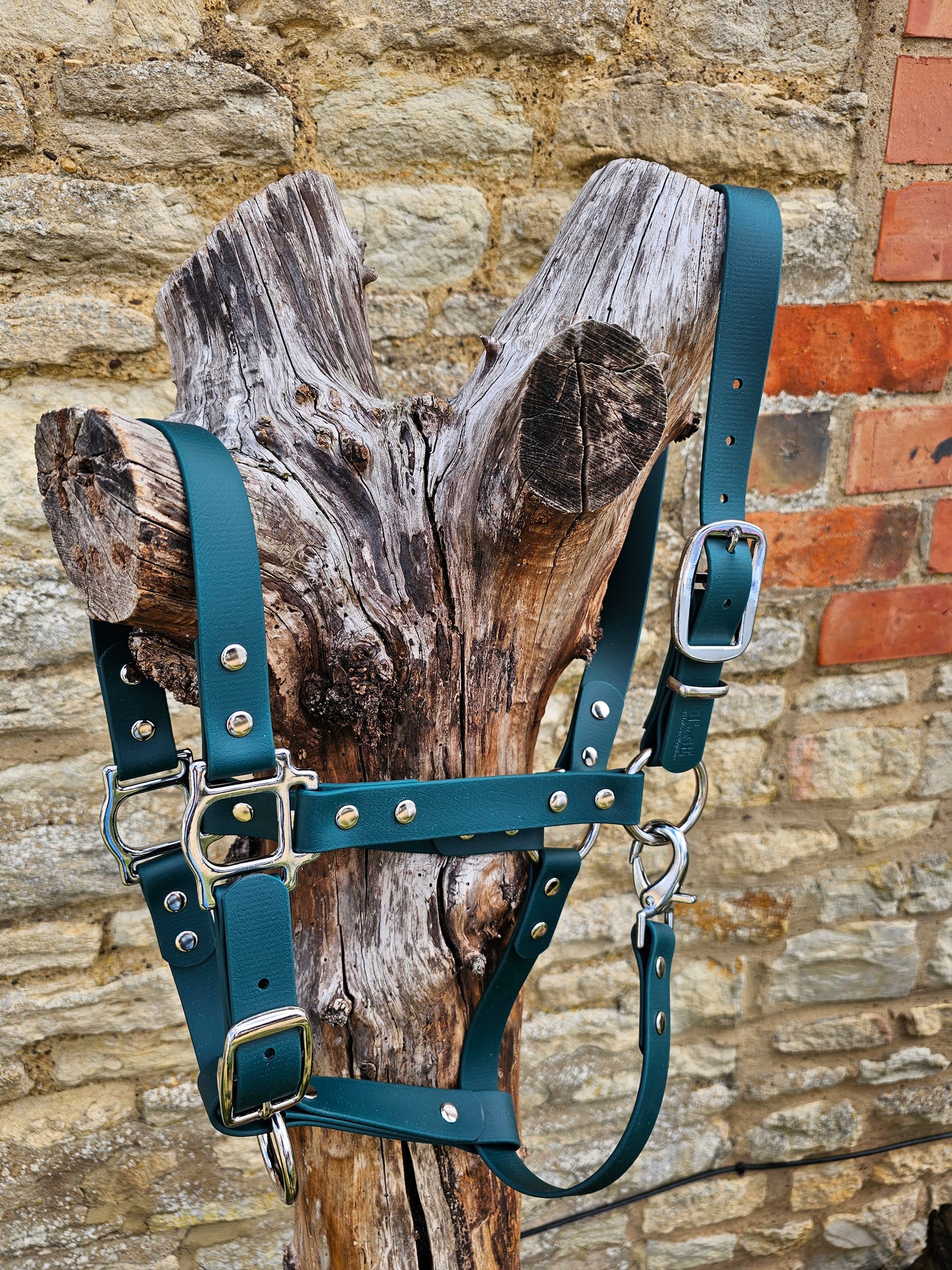 Dark Green - Waterproof BioThane® Horse Halters / Head Collars