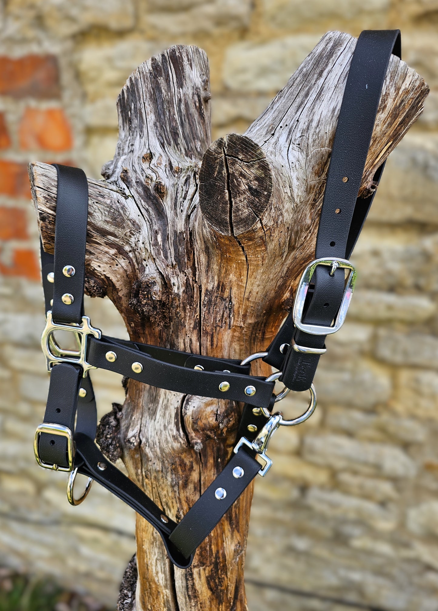 Black - Waterproof BioThane® Horse Halters / Head Collars