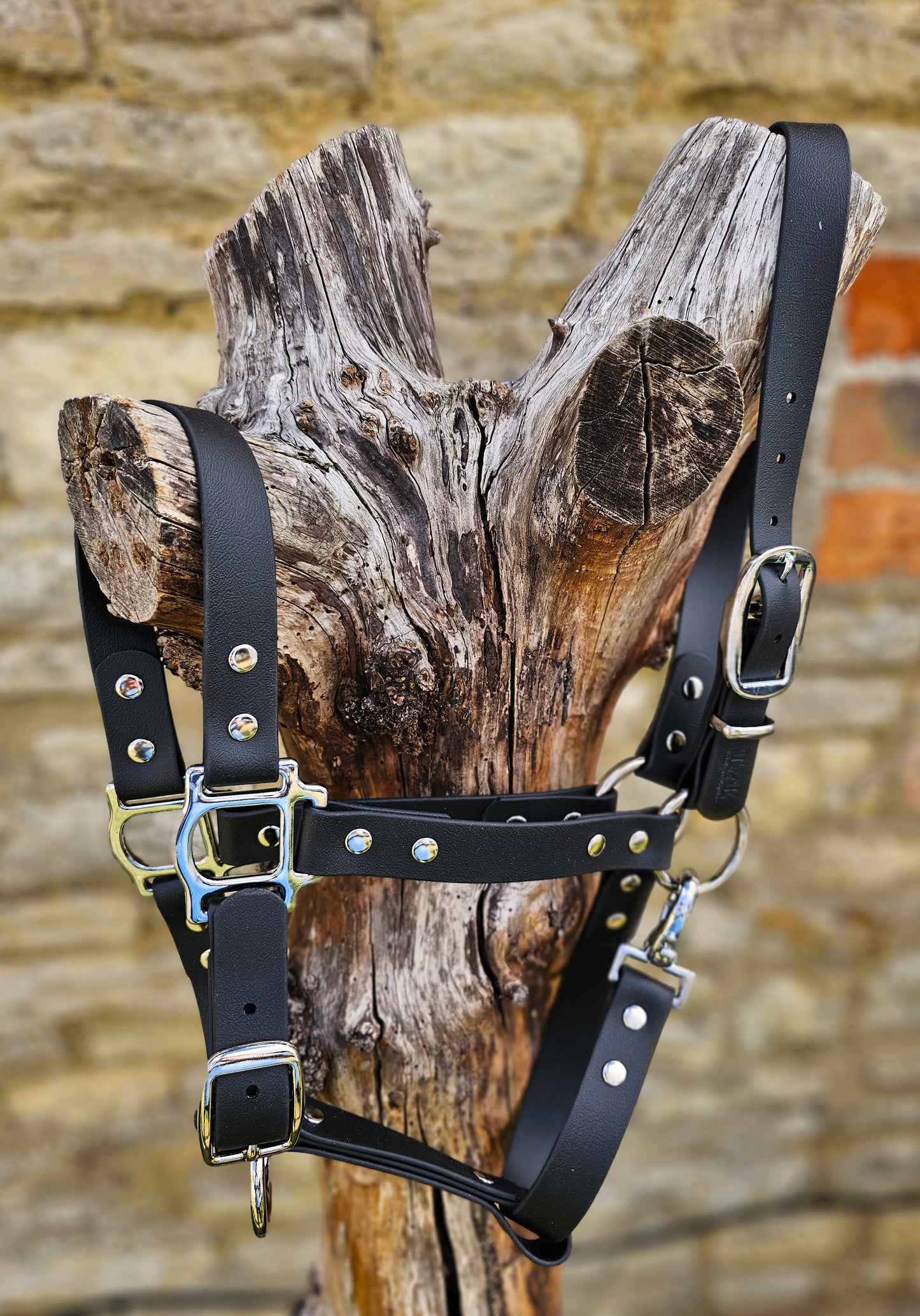 Black - Waterproof BioThane® Horse Halters / Head Collars