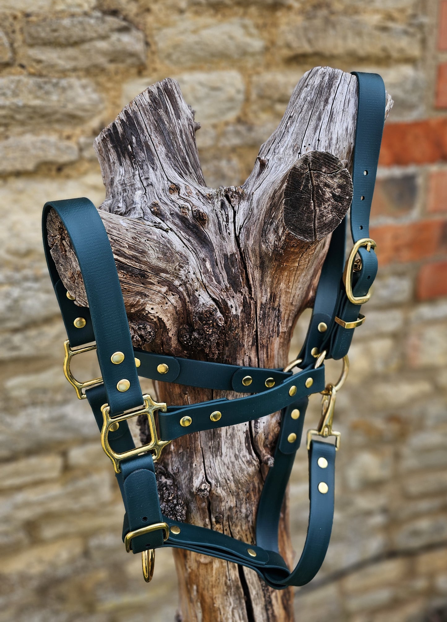 Dark Green - Waterproof BioThane® Horse Halters / Head Collars