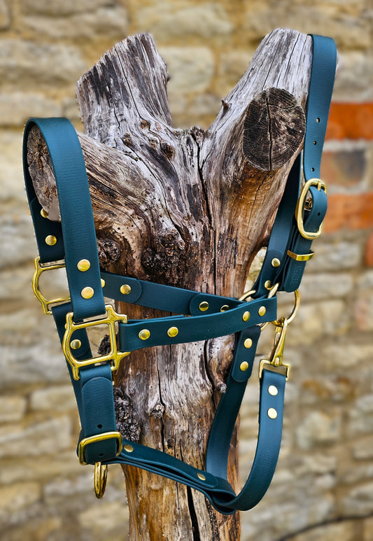 Dark Green - Waterproof BioThane® Horse Halters / Head Collars