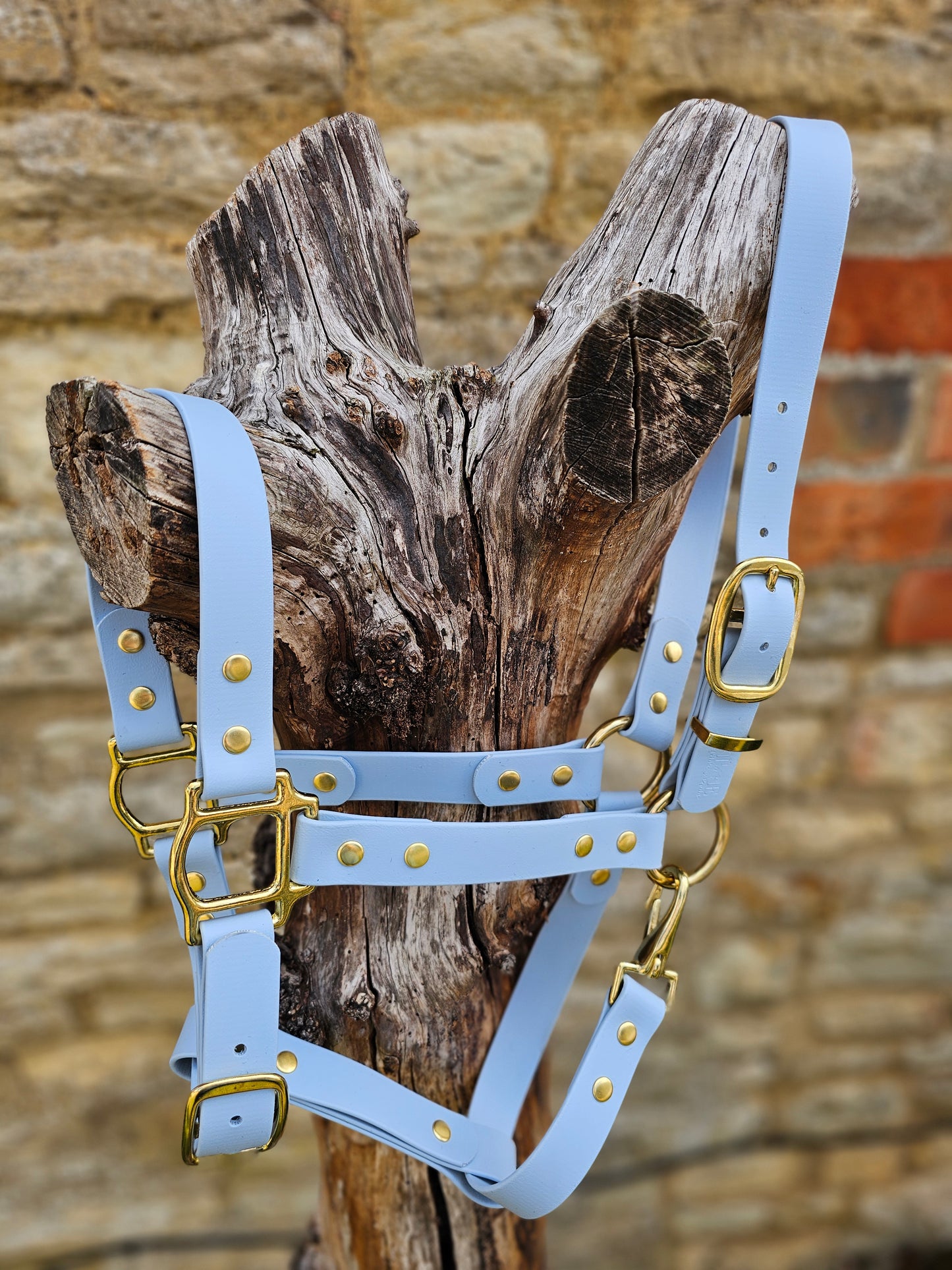 Baby Blue - Waterproof BioThane® Horse Halters / Head Collars