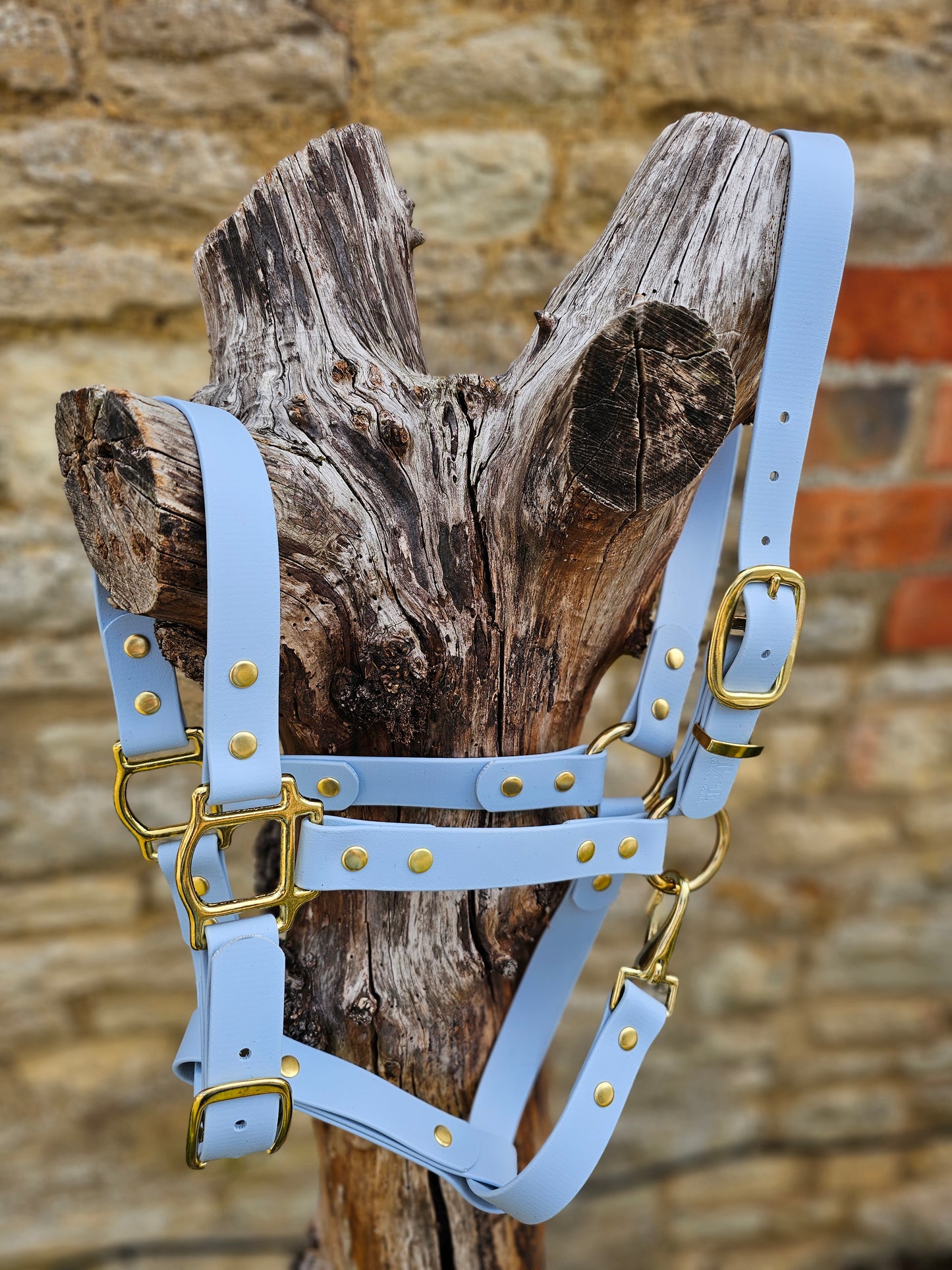 Baby Blue - Waterproof BioThane® Horse Halters / Head Collars