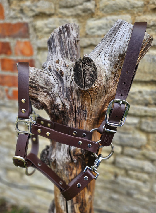 Dark Brown - Waterproof BioThane® Horse Halters / Head Collars