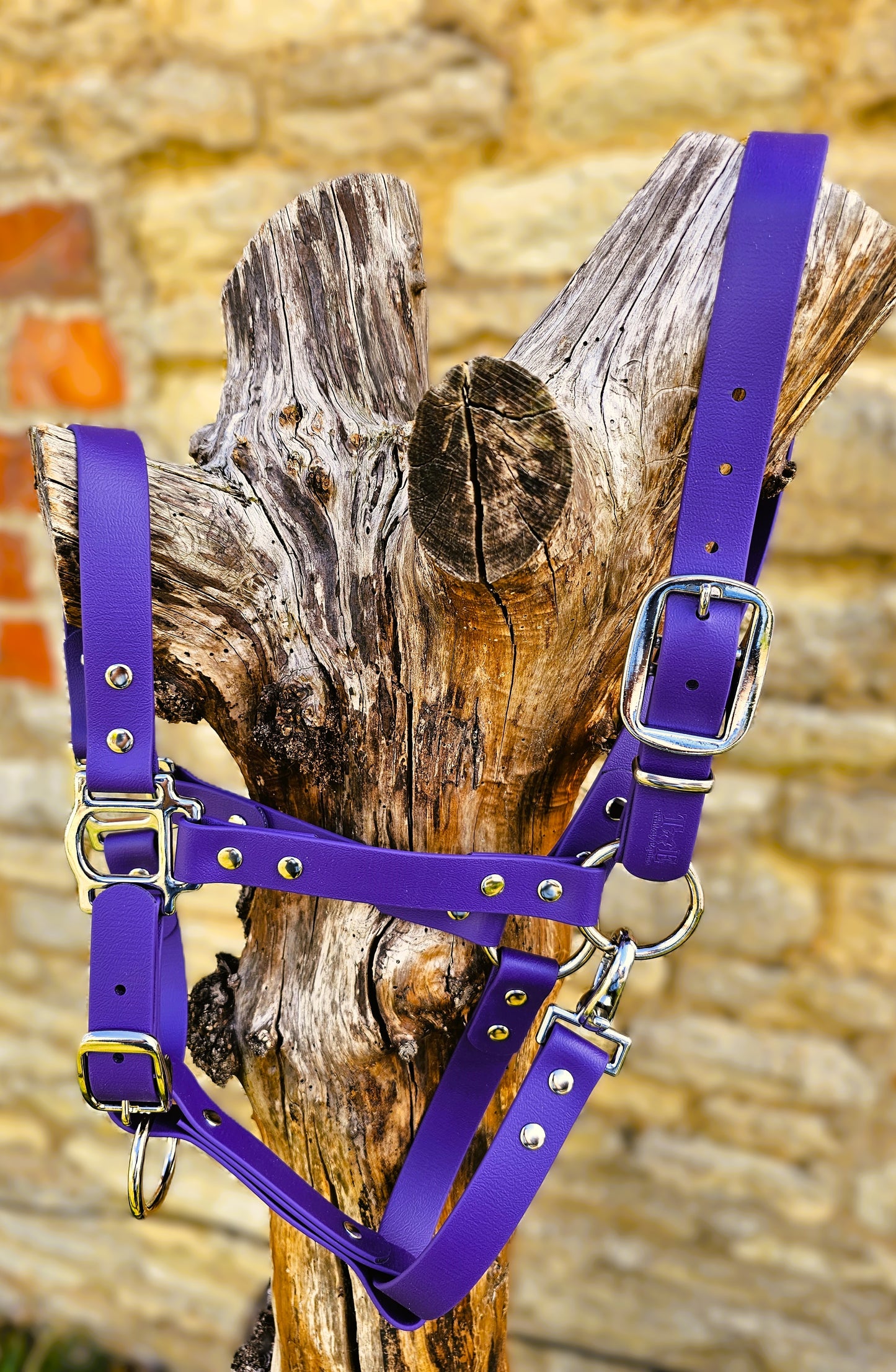 Purple - Waterproof BioThane® Horse Halters / Head Collars