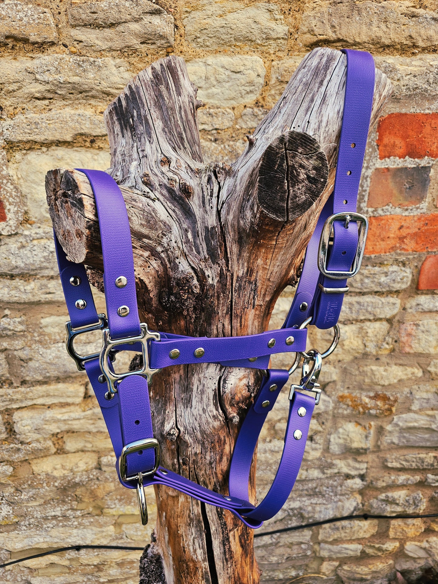 Purple - Waterproof BioThane® Horse Halters / Head Collars
