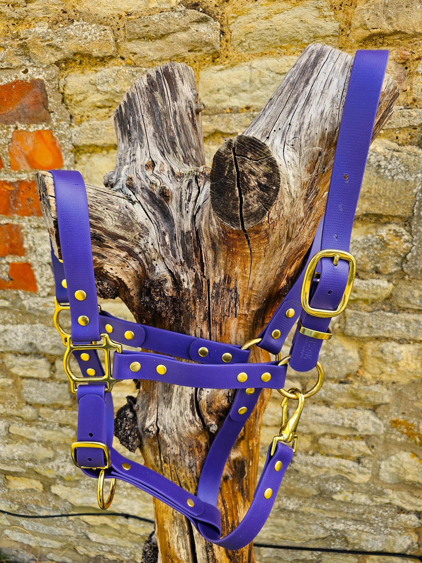 Purple - Waterproof BioThane® Horse Halters / Head Collars