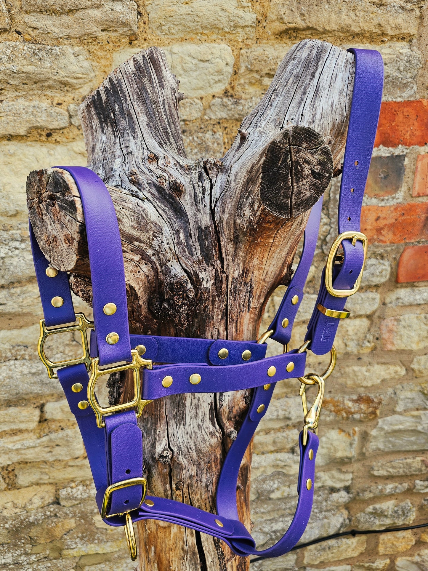 Purple - Waterproof BioThane® Horse Halters / Head Collars