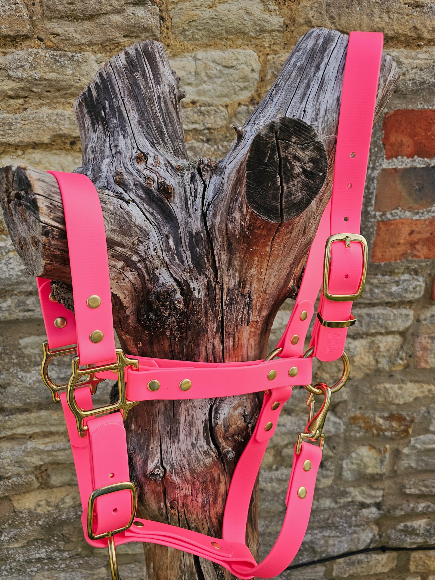 Neon Pink - Waterproof BioThane® Horse Halters / Head Collars