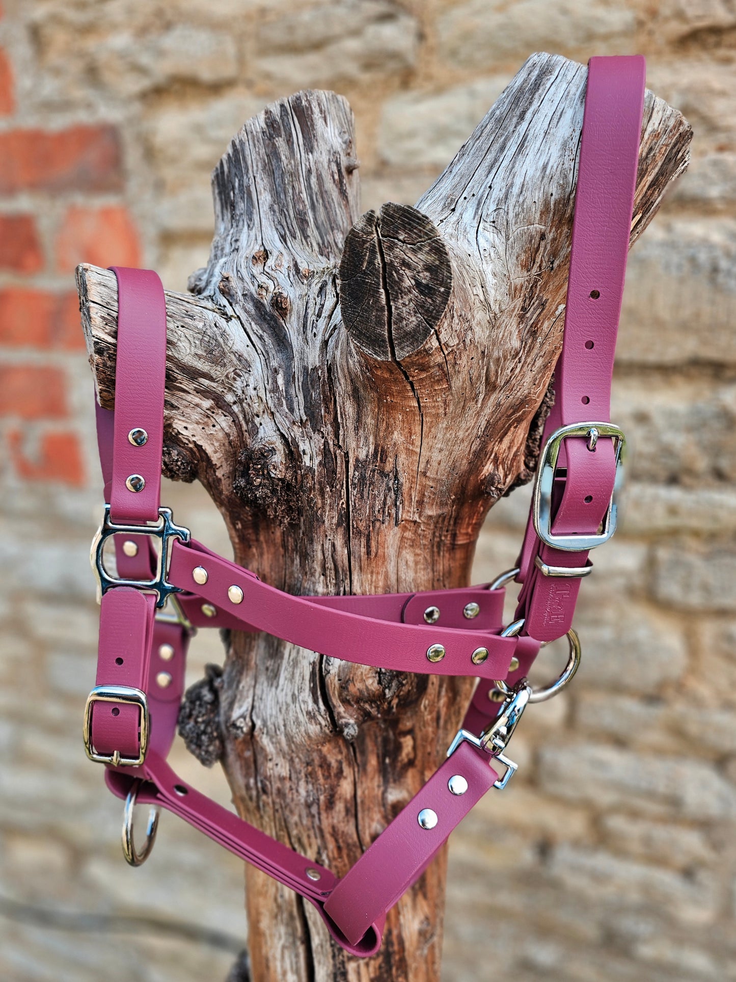 Burgundy - Waterproof BioThane® Horse Halters / Head Collars