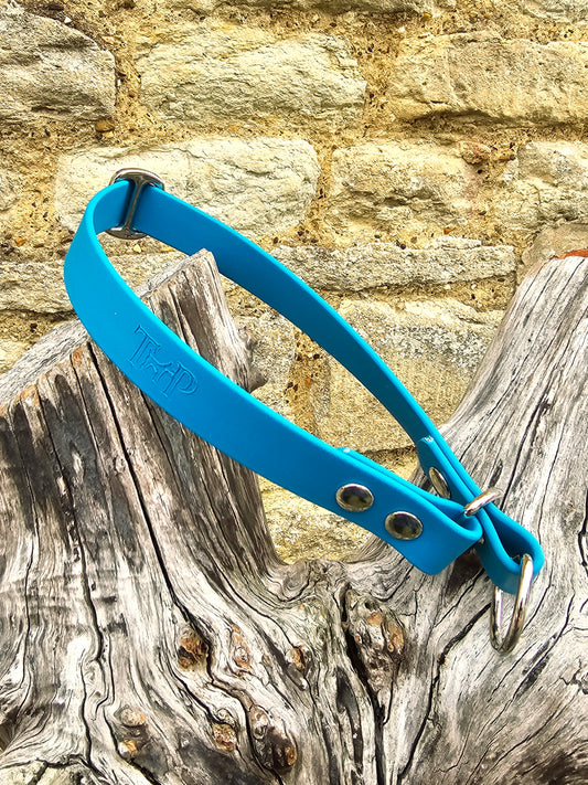 Lagune - Waterproof BioThane© safe-stop Slip Dog Collar