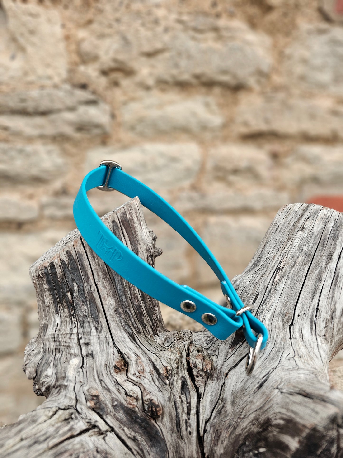 Lagune - Waterproof BioThane© safe-stop Slip Dog Collar