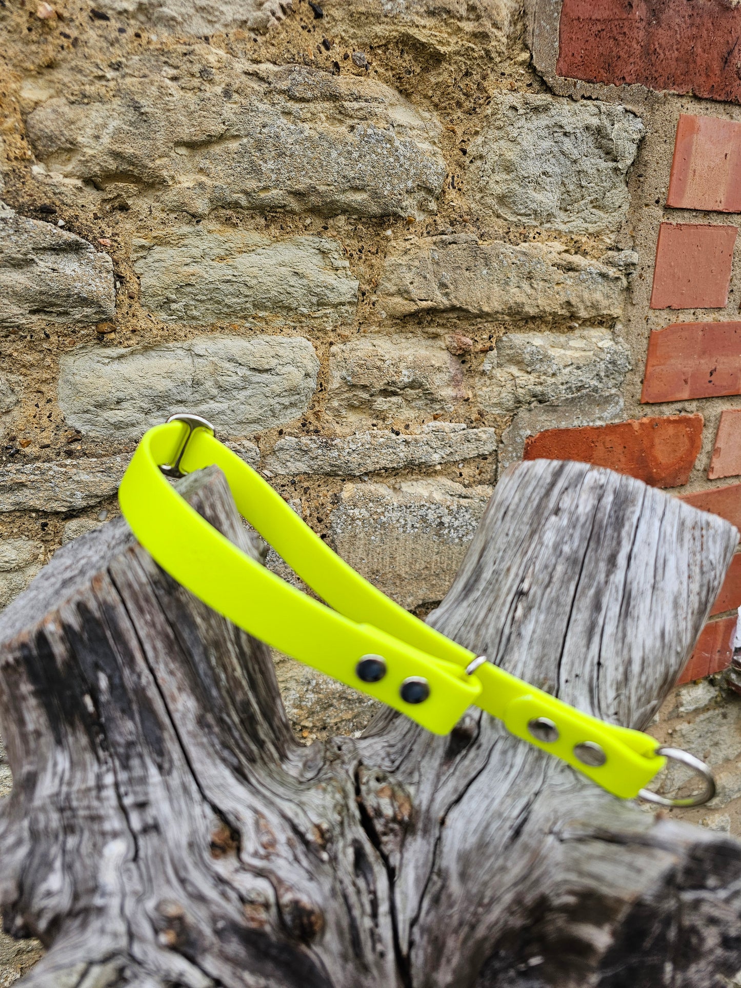 Neon Yellow - Waterproof BioThane© safe-stop Slip Dog Collar