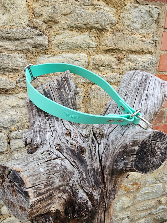 Mint - Waterproof BioThane© safe-stop Slip Dog Collar