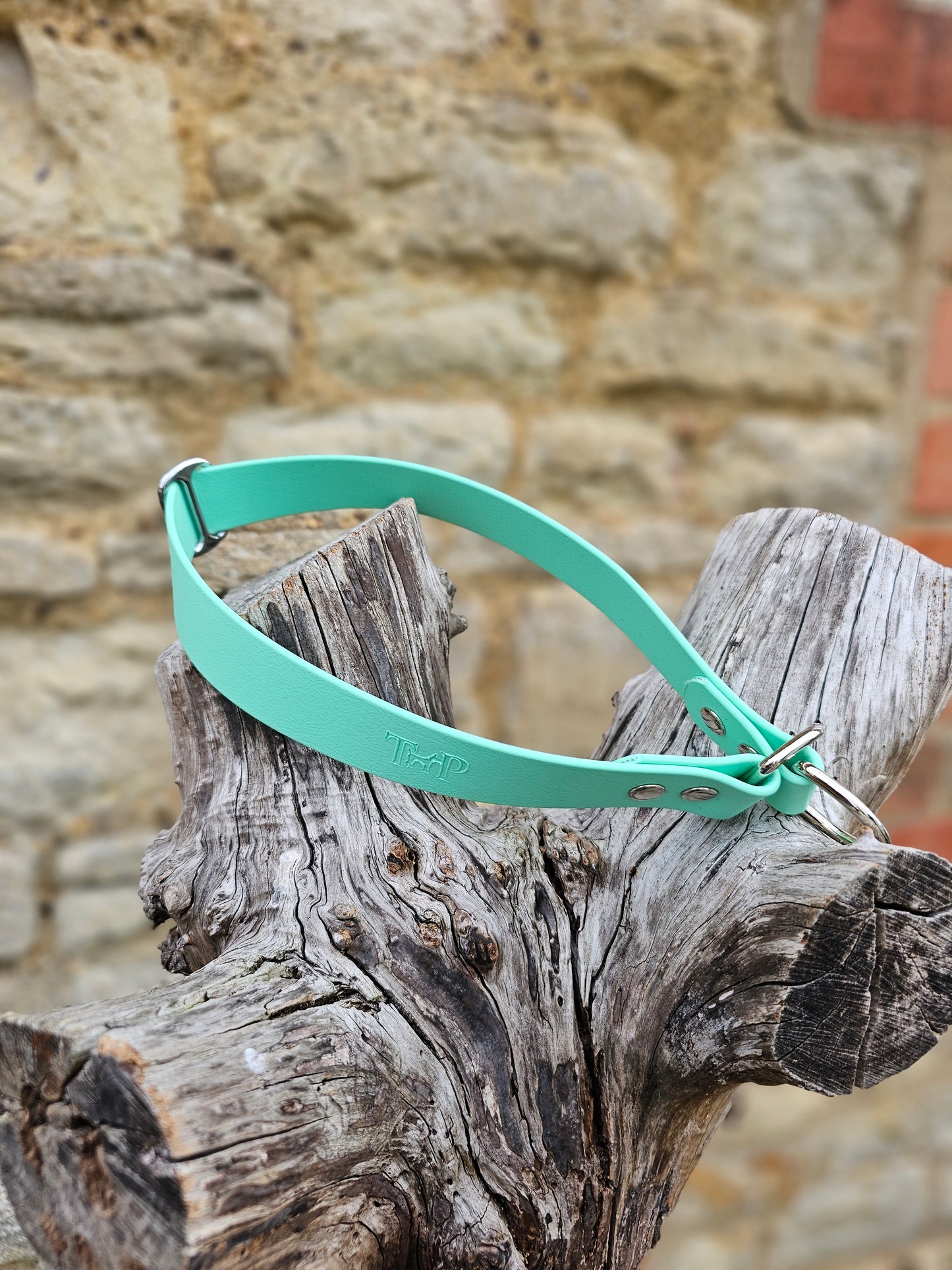 Mint - Waterproof BioThane© safe-stop Slip Dog Collar