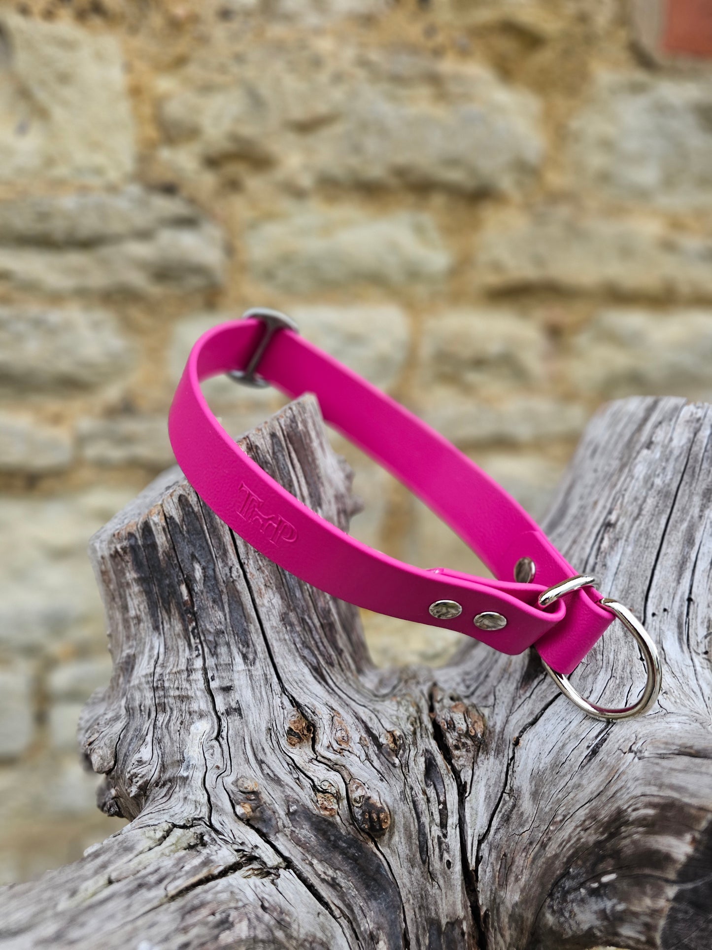Magenta - Waterproof BioThane© safe-stop Slip Dog Collar